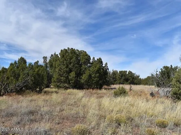 2705 Deer Run Pl, Show Low, AZ 85901