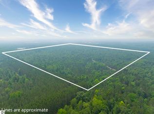 0 Shady Ln NE, Kalkaska, MI 49646