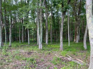 0 Sago Rd, French Creek, WV 26218