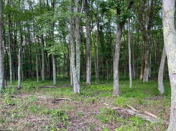 0 Sago Rd, French Creek, WV 26218
