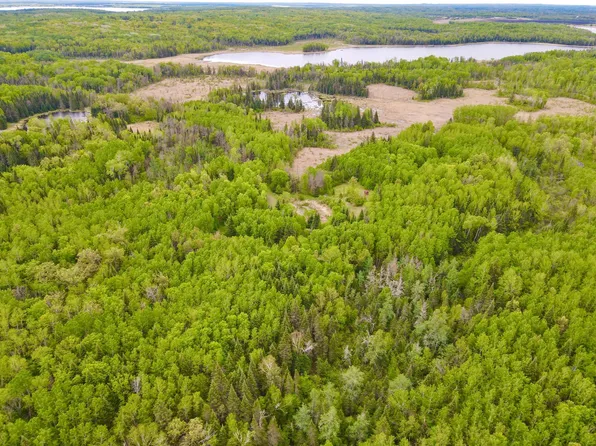 Mary Yellowhead Rd, Ogema, MN 56569