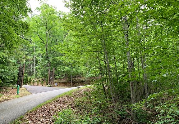 4th image of LOT 18 Bruce Mountain Rd