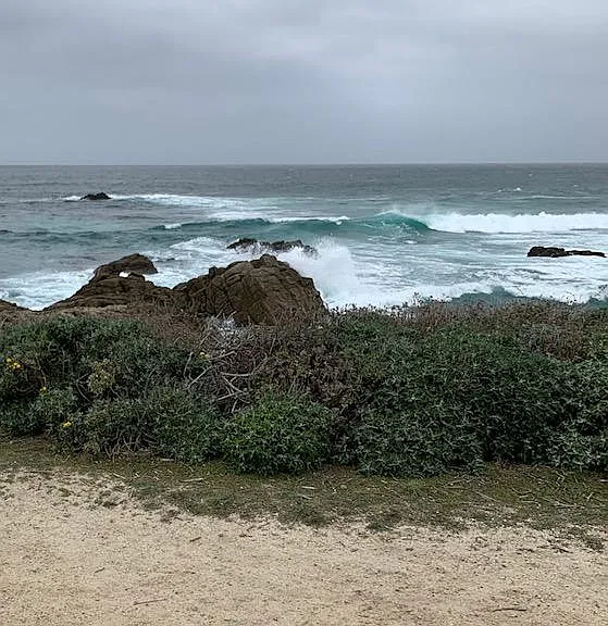 Ocean is a 2 minute walk!