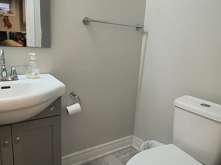 17 Gander Dr #BASEMENT — Photo 12