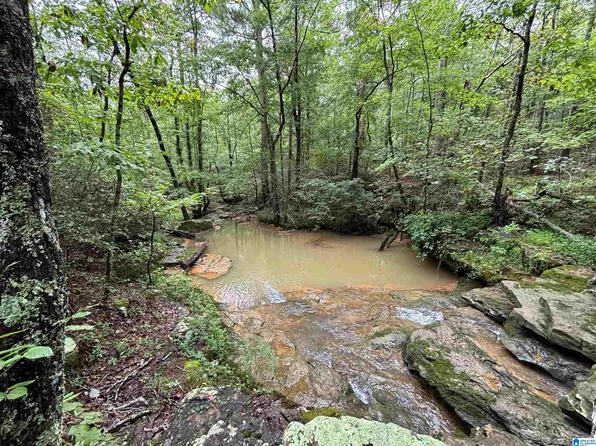 Loop Rd, Steele, AL 35987