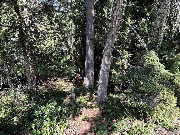 4th image of LOT 38 Pirates Rd