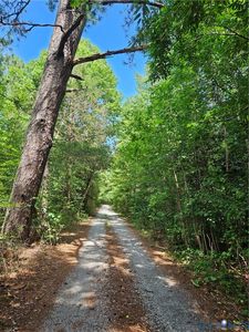 154 King Bee Trl, Brodnax, VA, 23920