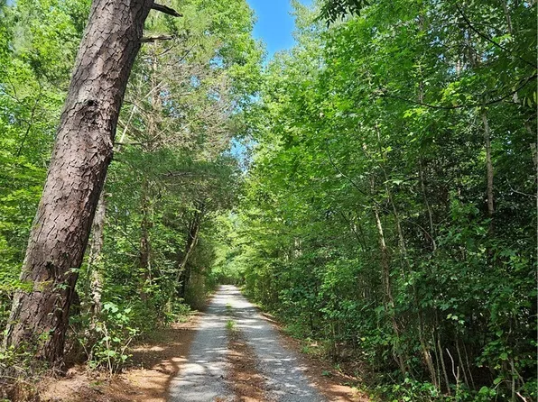 154 King Bee Trl, Brodnax, VA 23920