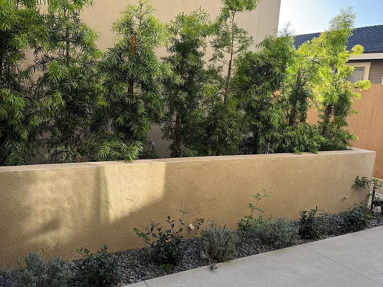 Landscaping opposite front door