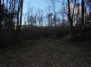 193 Pecora Rd, Drums, PA 18222