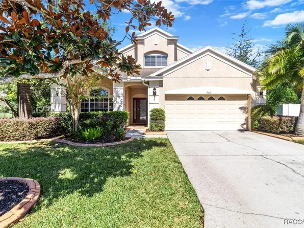 19617 Sunset Bay Dr, Land O Lakes, FL 34638