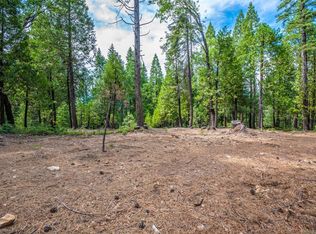 3140 Apache Rd, Arnold, CA 95223