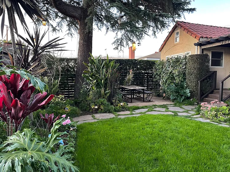 garden