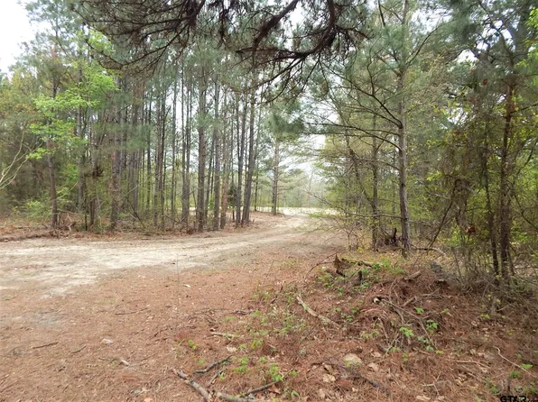 N Iris St Tract 5, Ore City, TX 75683