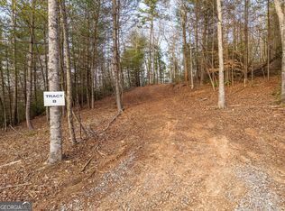 Township Road B East New Hope Rd, Ellijay, GA 30536