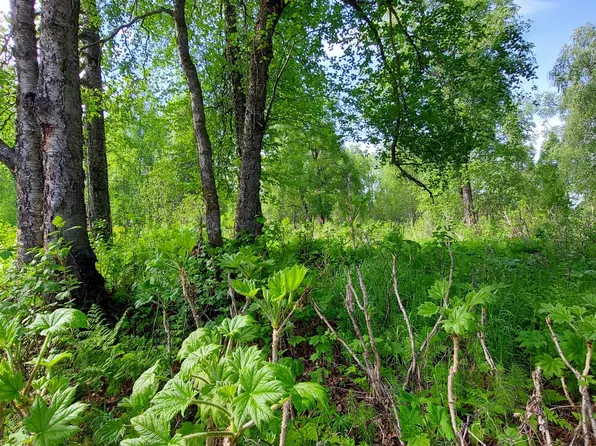 22578 S Trappers Dr, Trapper Creek, AK 99683
