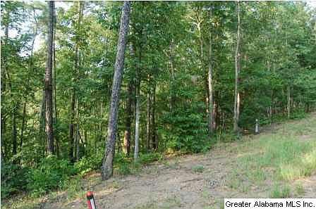 3rd image of LOT 9 Oak Leaf Dr