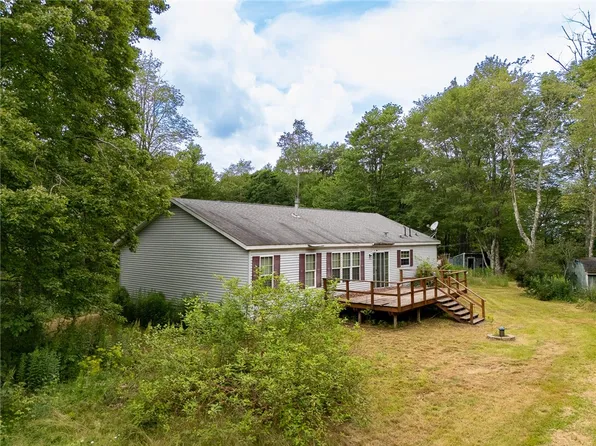 23 Davis Ln, Hamden, NY 13782