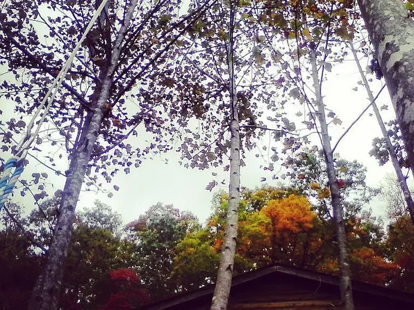 24 Libby Dr, Weaverville, NC 28787