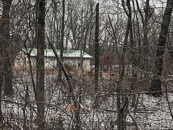 3rd image of 1382 Big Buffalo Rd