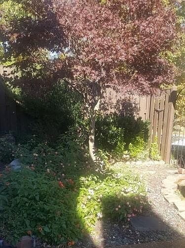 2nd image of 1235 Brentwood Pt