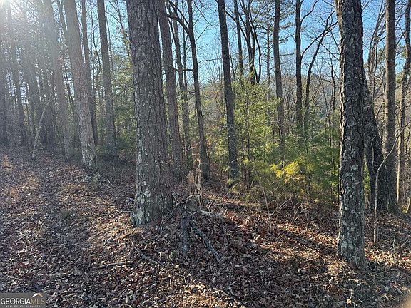 4th image of 0 Rebekah Rdg #1710