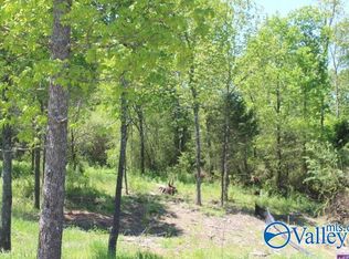 10 Peaceful Dr, Rainsville, AL 35986