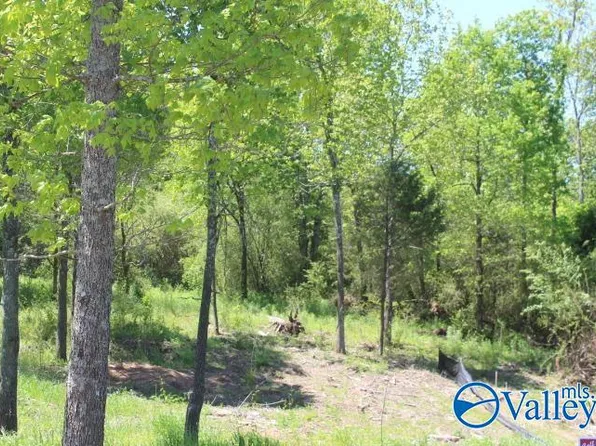 10 Peaceful Dr, Rainsville, AL 35986