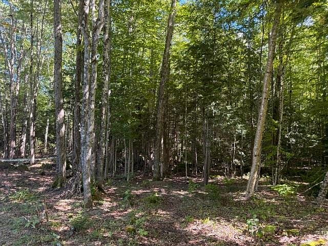 1st image of Lot 5 Partridge Road