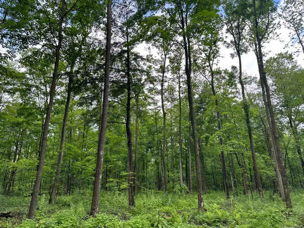 LOT 5 Kellar Dr, Merrill, WI 54452