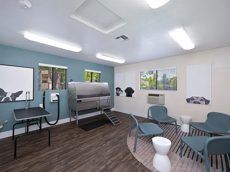 Pet Spa