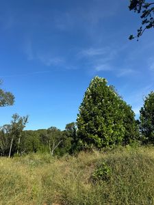 925 Elmwood Ave LOT 25, Lynchburg, VA, 24503