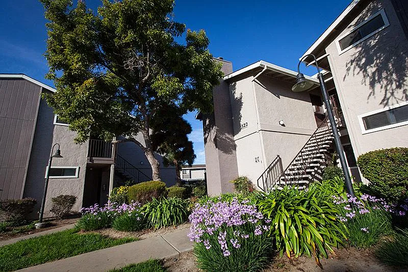 Laurel Grove — Photo 2