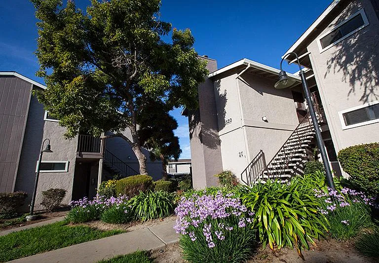 Laurel Grove — Photo 2