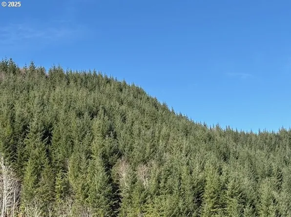 0 Logsden Rd, Blodgett, OR 97326