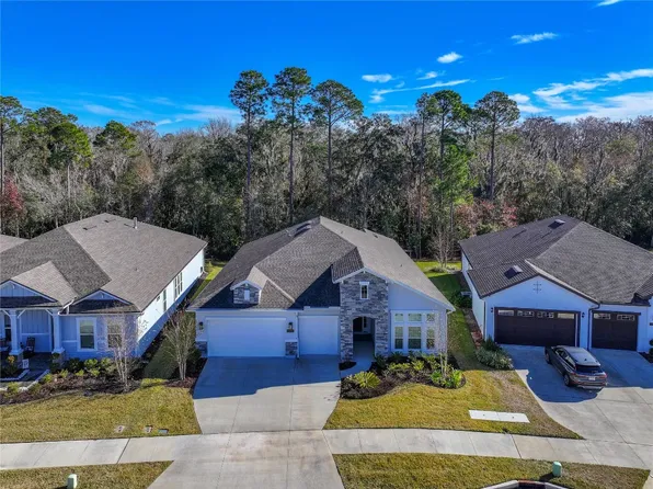 95062 Golden Glow Dr, Fernandina Beach, FL 32034