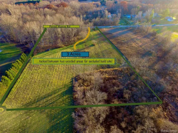3 Mason Rd, Webberville, MI 48892