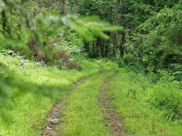 4304 Sinclair Rdg, Rowlesburg, WV 26425