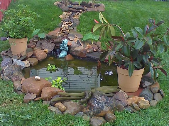 a nice pond