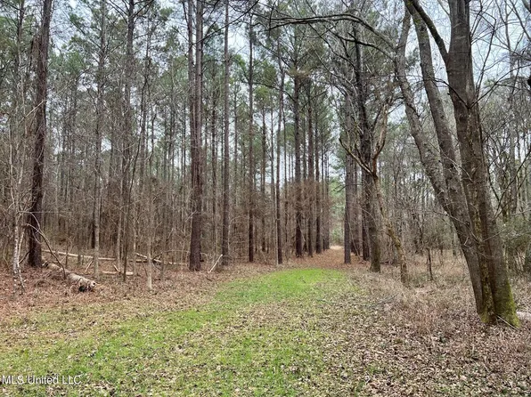 Spring Creek Rd Lot 1, Flora, MS 39071