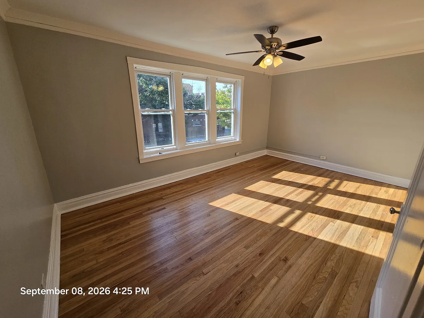 Studio, 500 sqft, $1,250 — Photo 1