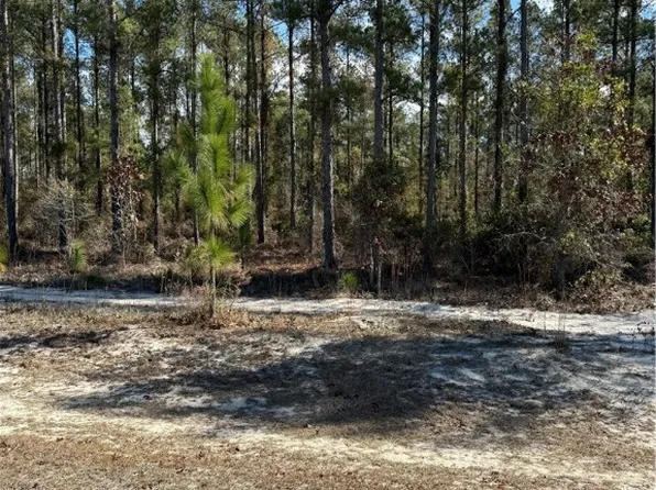 0 Heritage Cir, Hortense, GA 31543