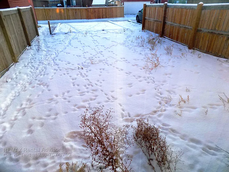 4119 Orchards Dr SW — Photo 20