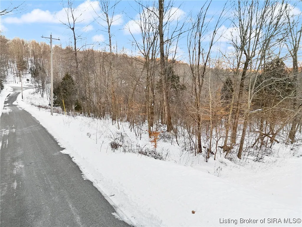 0 Co Rd 150 N Lot #8 photo 1