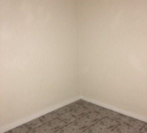 5th image of 6163 Brocks Ln APT A