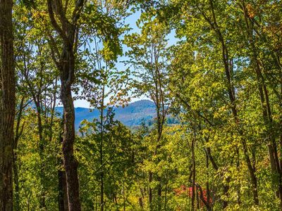 Lot 89 Black Oak Drive, Cashiers, NC, 28774
