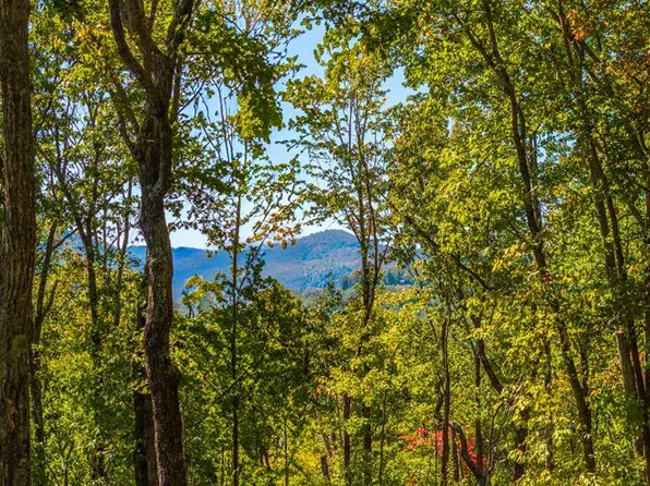 Lot 89 Black Oak Drive, Sapphire, NC 28774