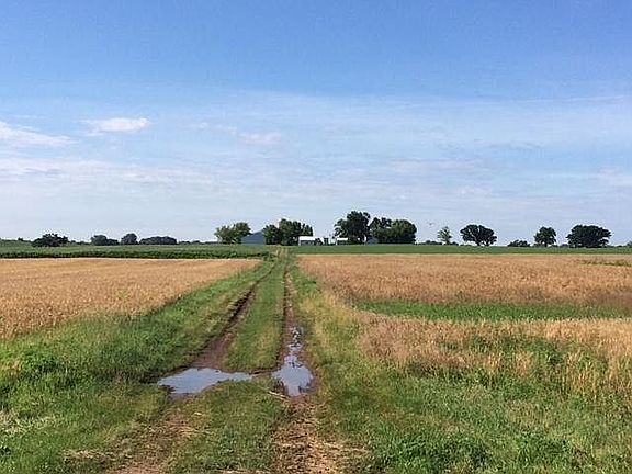 Fields to north of buildings