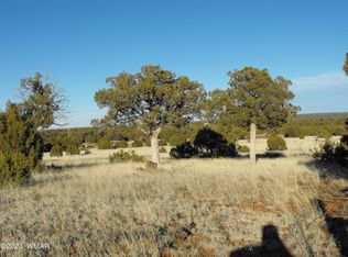 N 22nd Dr, Show Low, AZ 85901