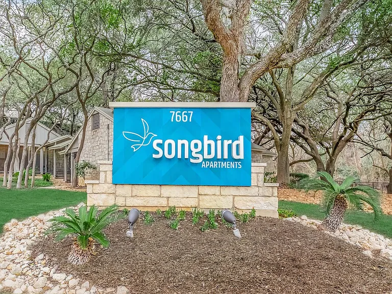Songbird — Photo 14